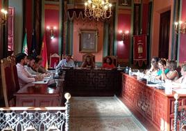 Sesión plenaria celebrada ayer