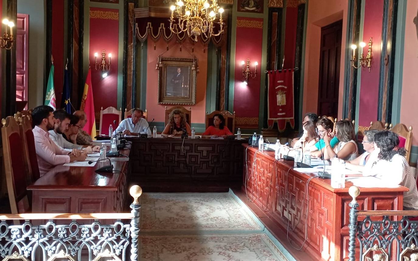 La alcaldesa anuncia la creación de una nueva partida para el asfaltado de calles