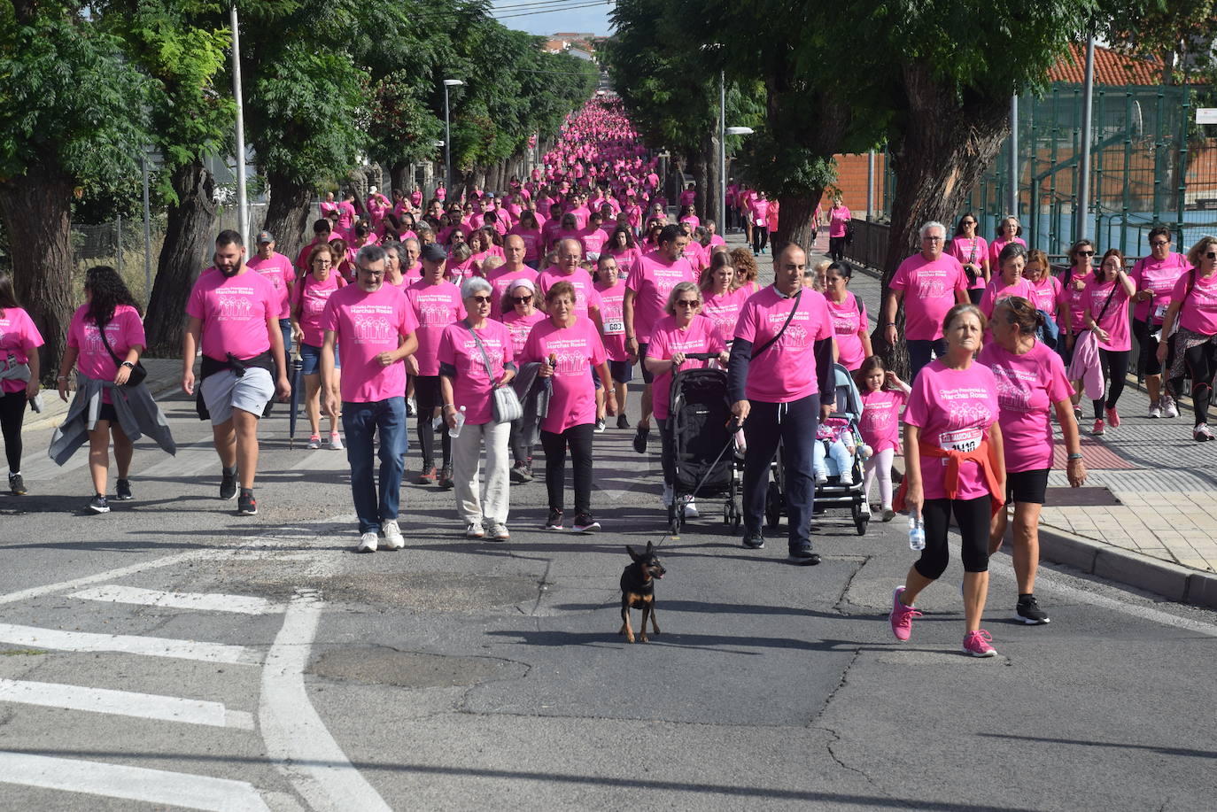 Gran respuesta a la Marcha contra el Cáncer