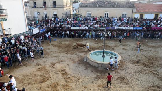 Huertas de Ánimas ultima los preparativos para sus fiestas patronales