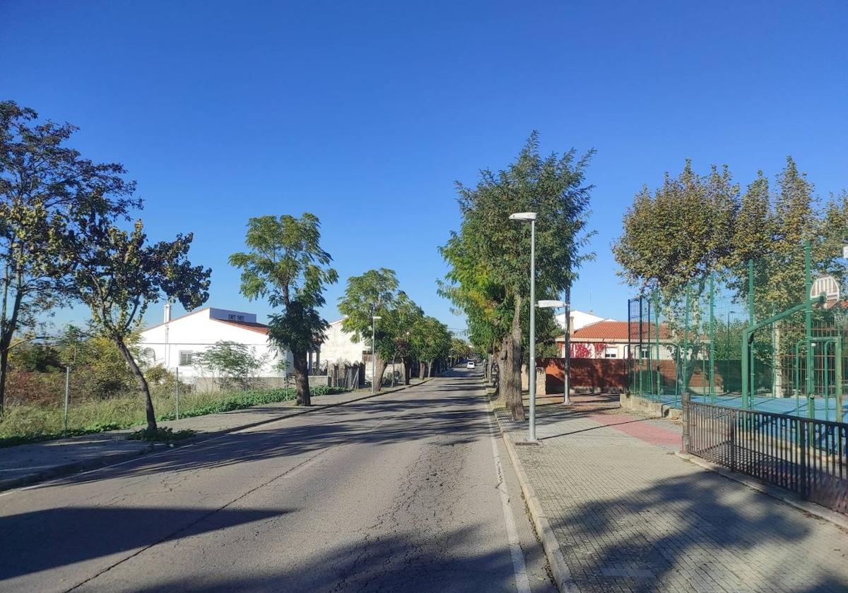 Avenida Reina María Cristina, una las vías beneficiarias.