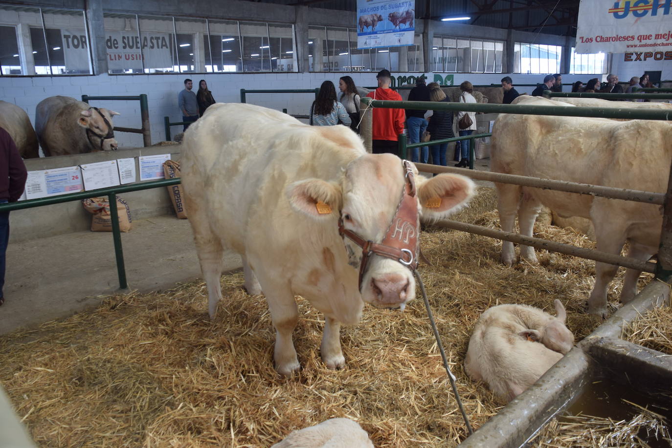 ¿Estuviste en la XXXIX edición de la Feria Agroganadera?