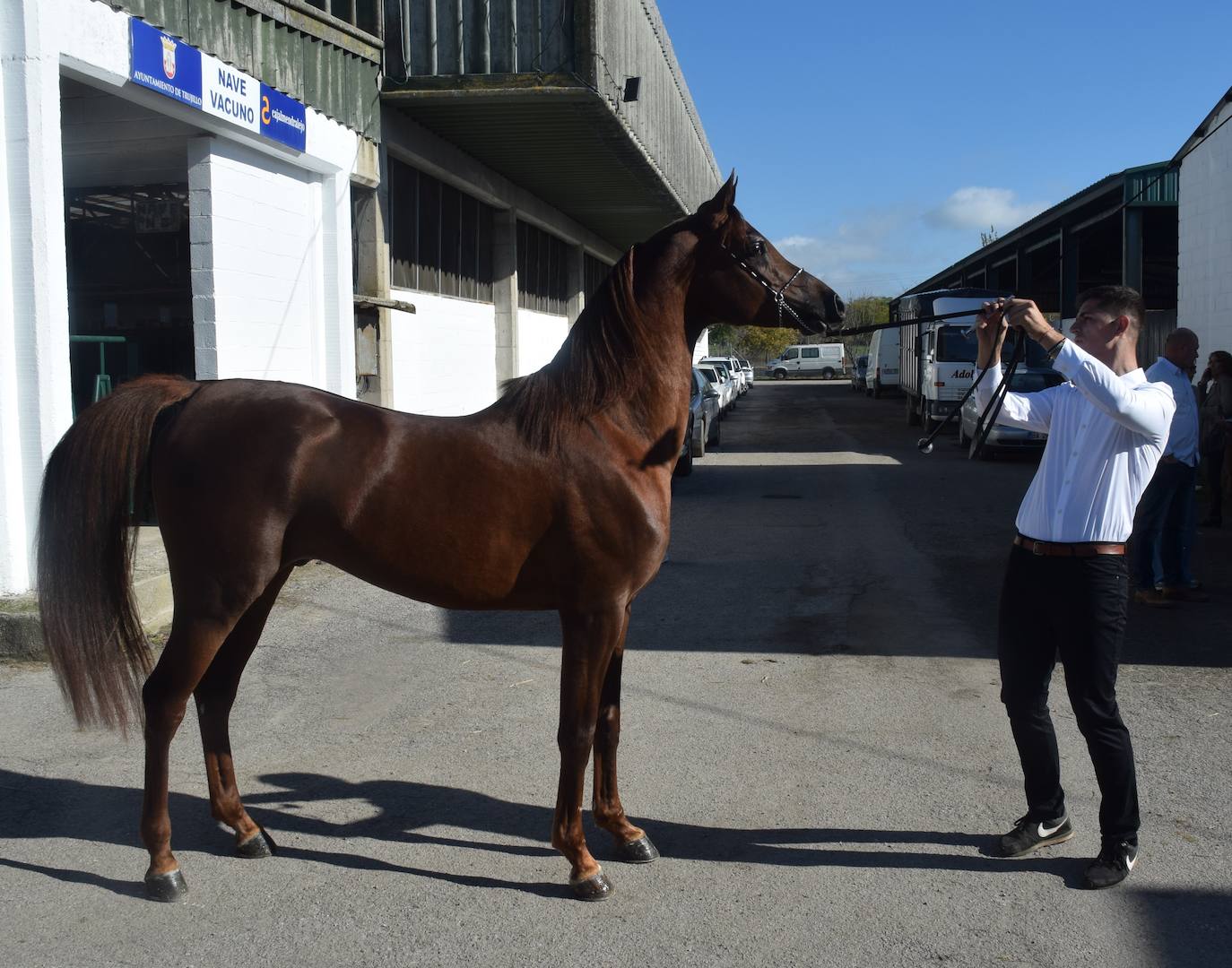 ¿Estuviste en la XXXIX edición de la Feria Agroganadera?