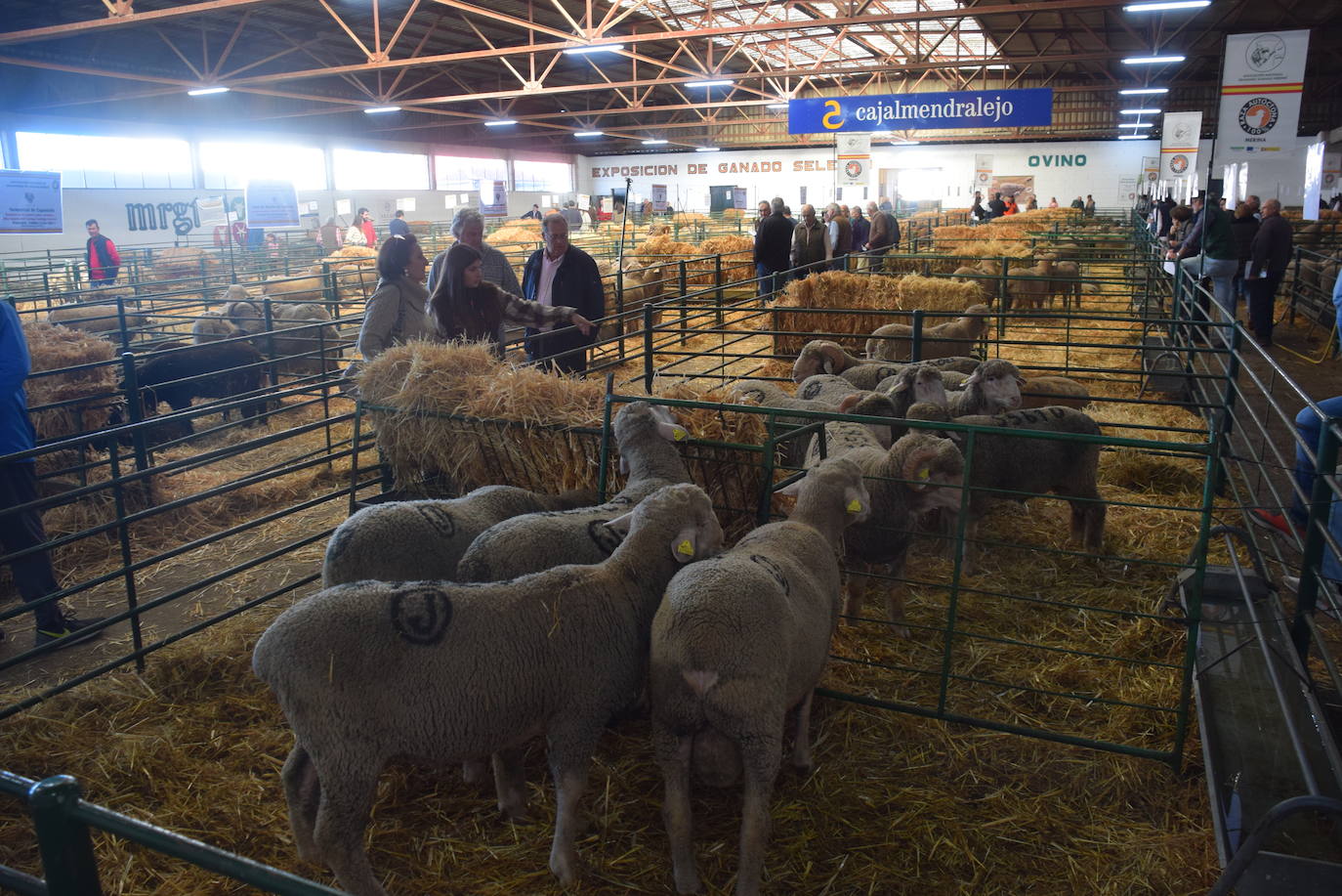 ¿Estuviste en la XXXIX edición de la Feria Agroganadera?