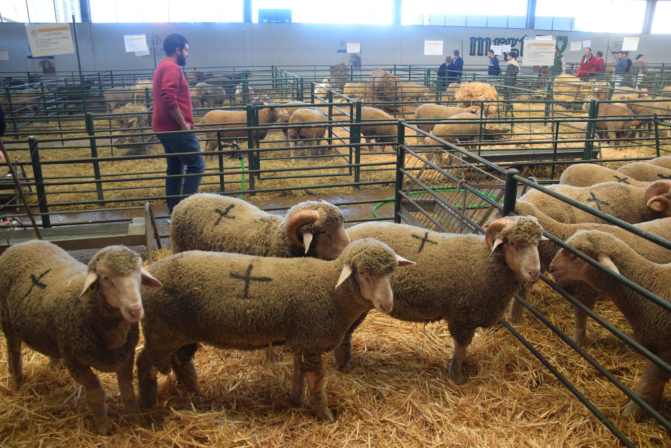 ¿Estuviste en la XXXIX edición de la Feria Agroganadera?