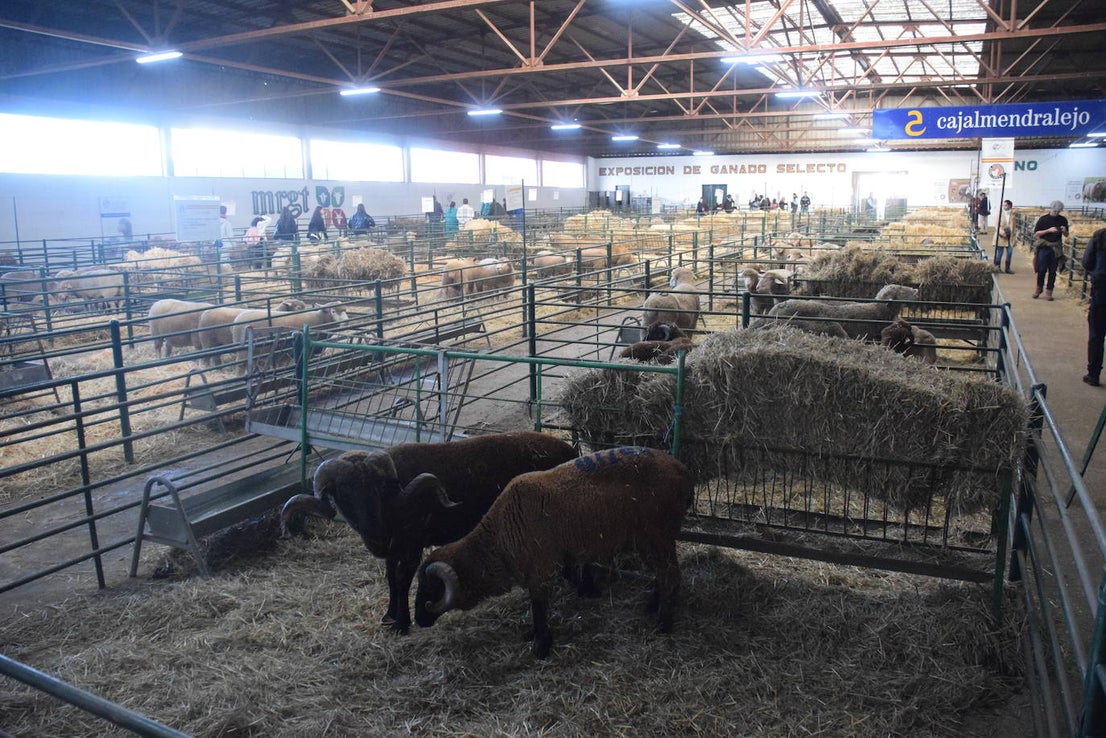 ¿Estuviste en la XXXIX edición de la Feria Agroganadera?