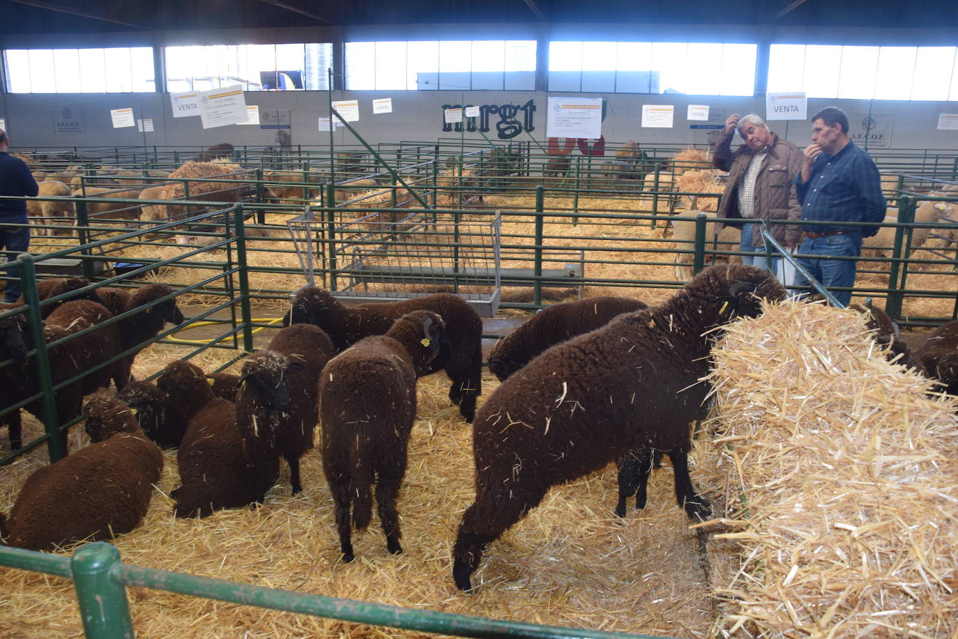 ¿Estuviste en la XXXIX edición de la Feria Agroganadera?