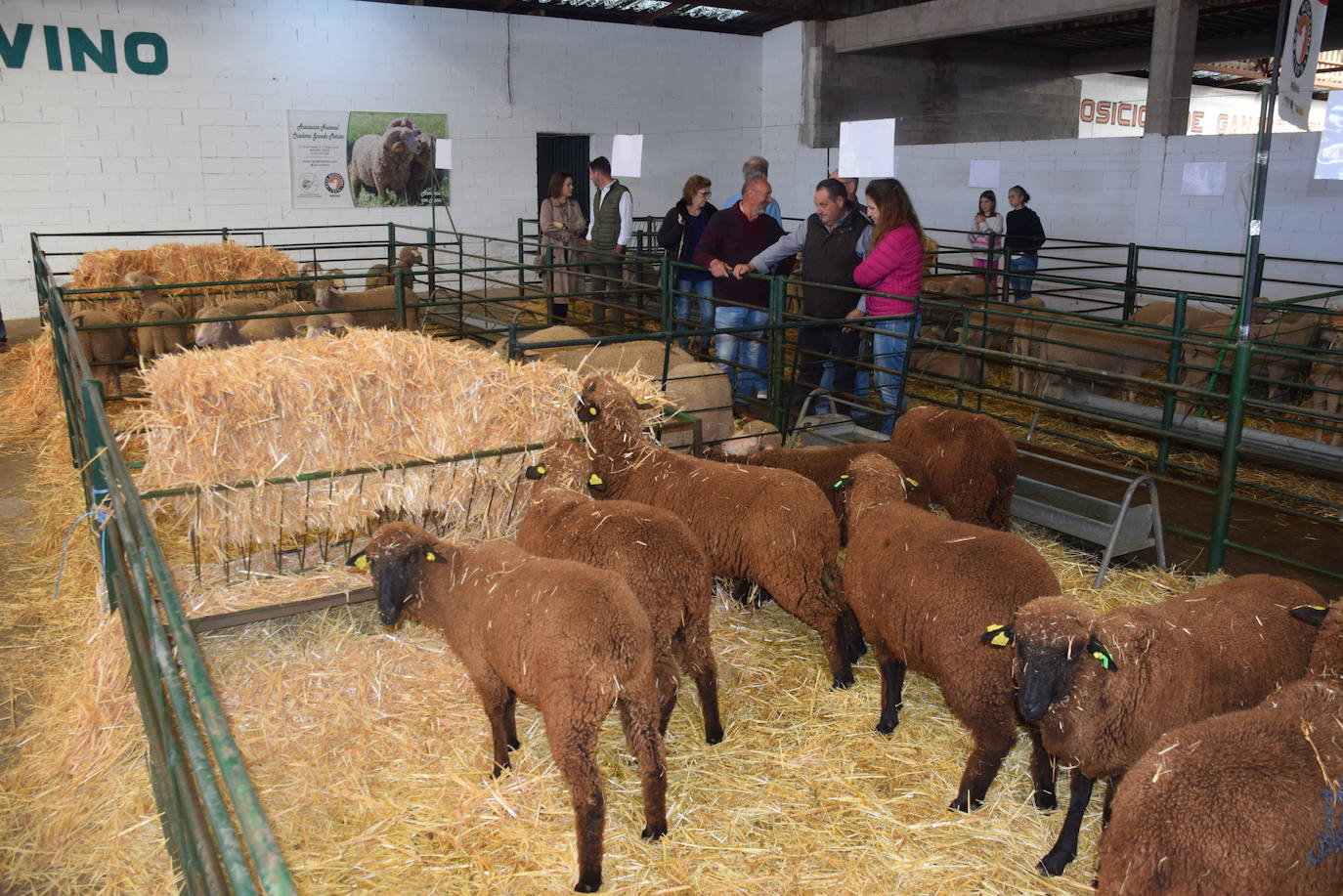 ¿Estuviste en la XXXIX edición de la Feria Agroganadera?