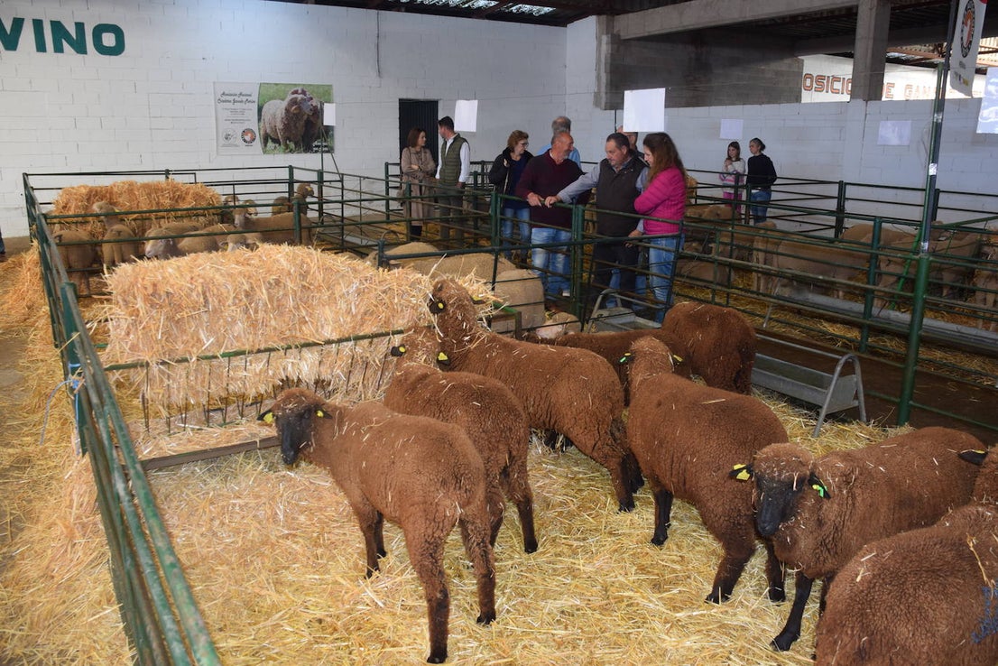 ¿Estuviste en la XXXIX edición de la Feria Agroganadera?