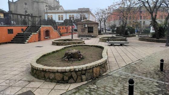Ecologistas en Acción plantará 45 árboles y 266 arbustos en dos zonas de la ciudad