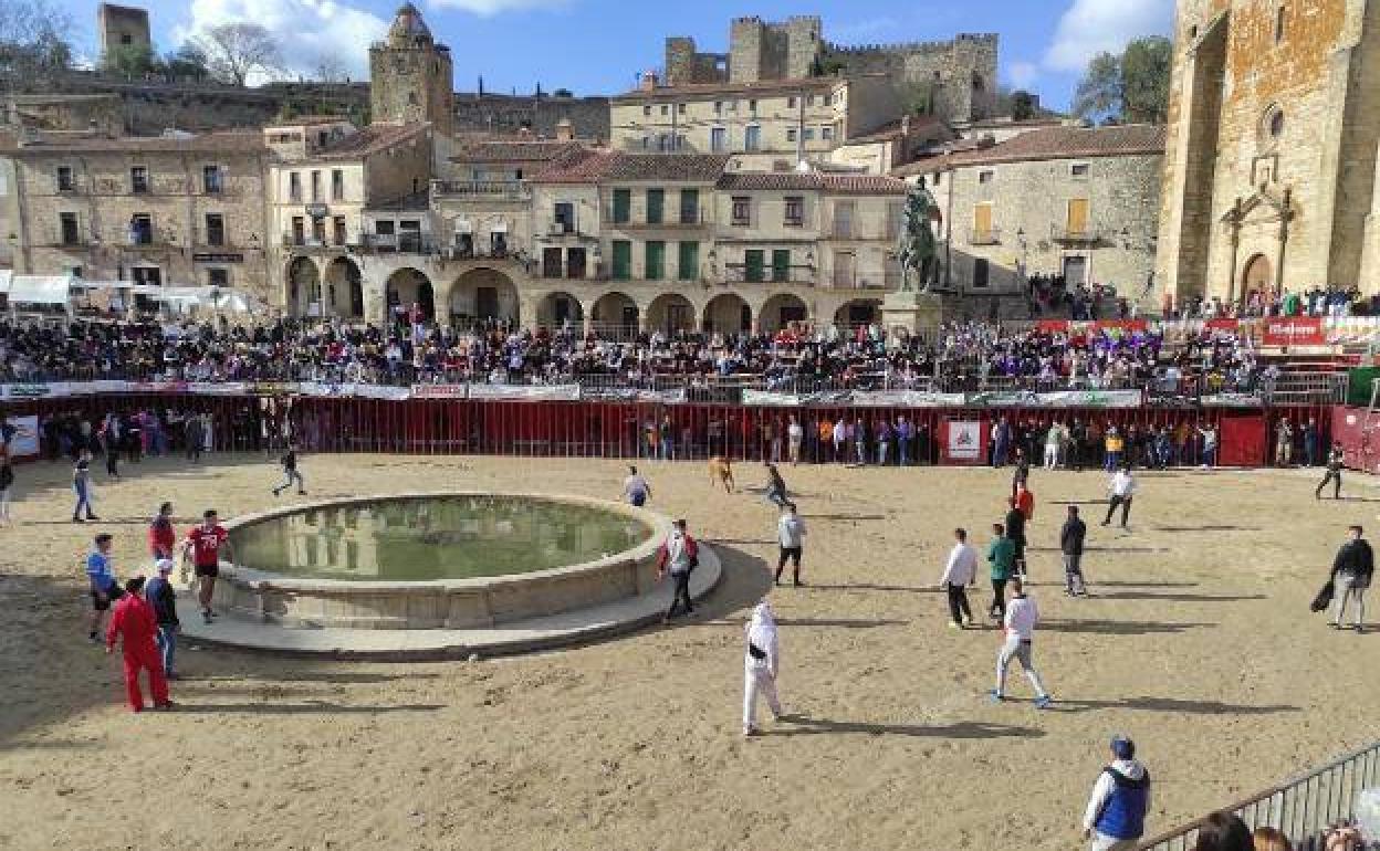 Los festejos taurinos, con motivo de los carnavales, echan a andar esta tarde