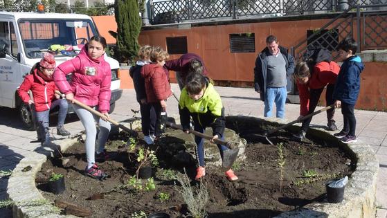 Más de medio centenar de personas en la plantación de árboles y arbustos