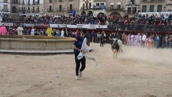 Cinco ganaderías participarán en las capeas de los carnavales