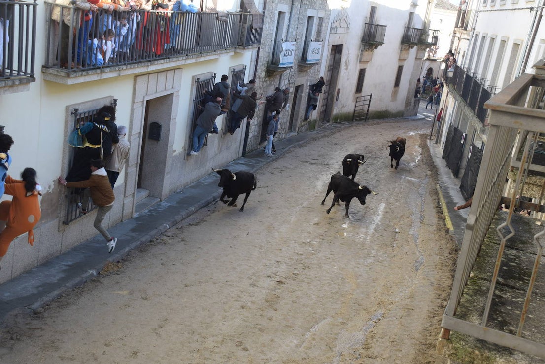 Concurso de comparsas y primer día de festejos taurinos
