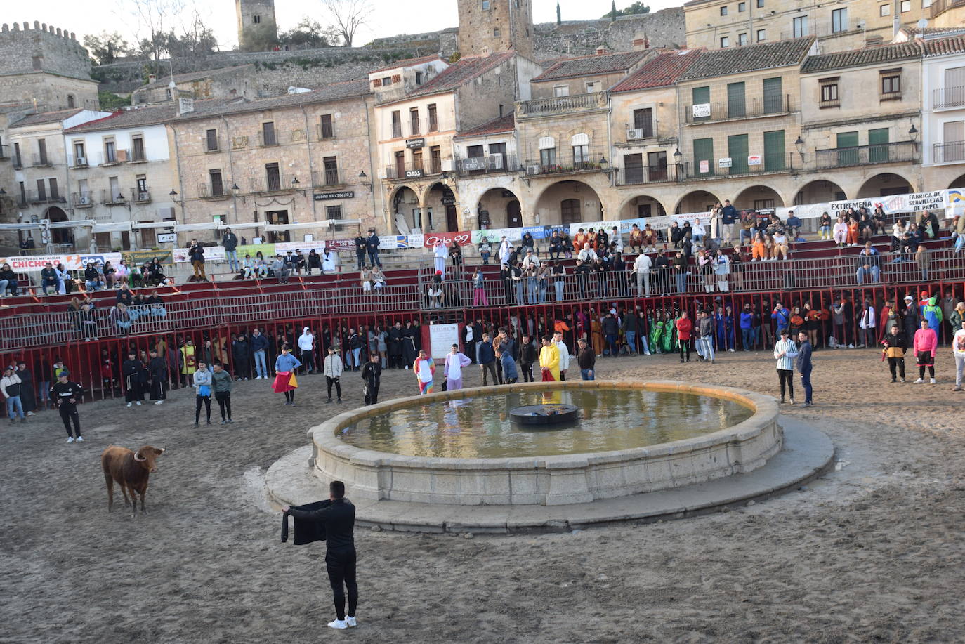 Concurso de comparsas y primer día de festejos taurinos