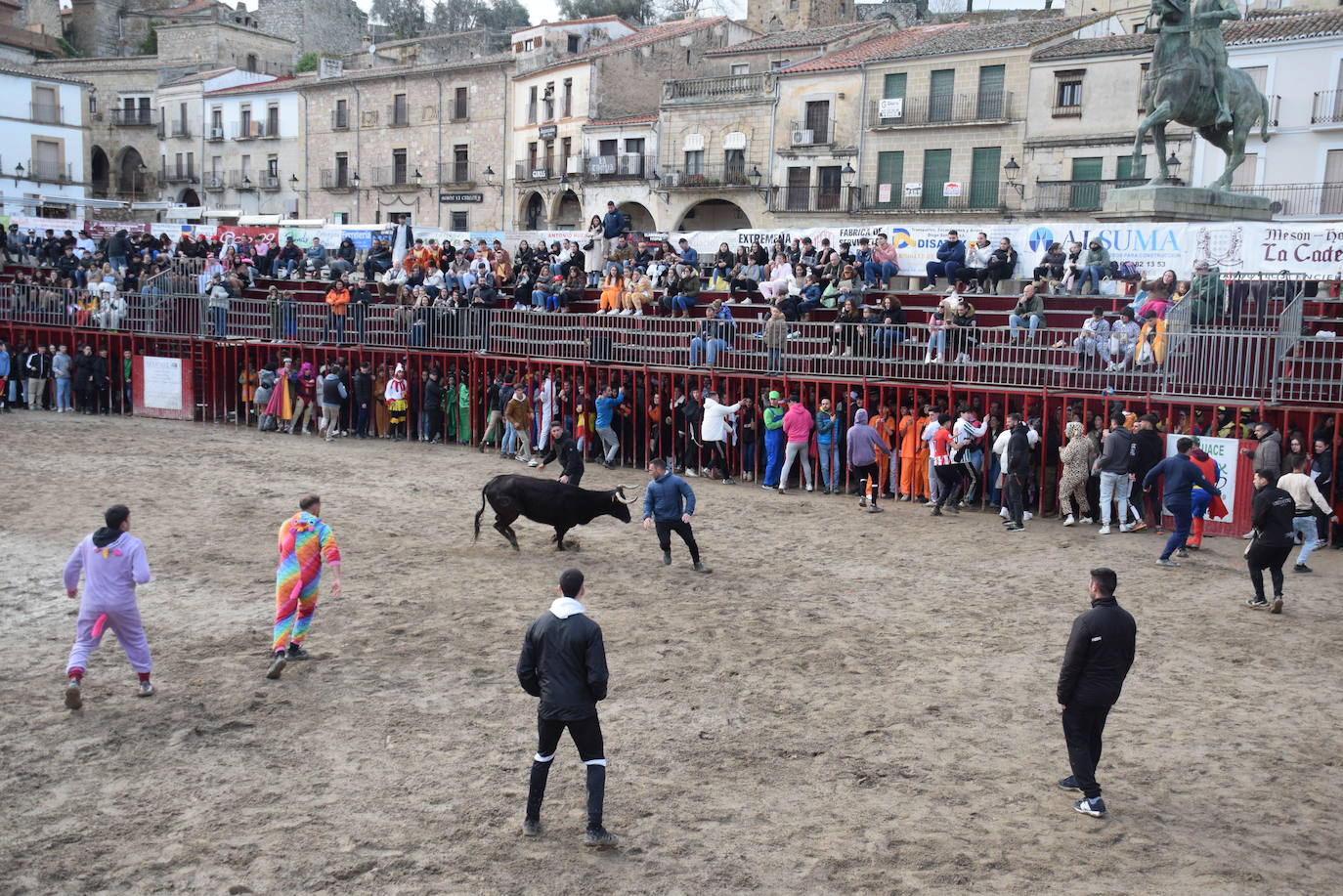 Concurso de comparsas y primer día de festejos taurinos