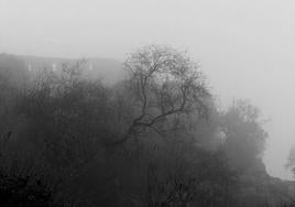 Soliloquio en las tierras de Clío