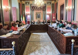 Sesión plenaria celebrada este jueves