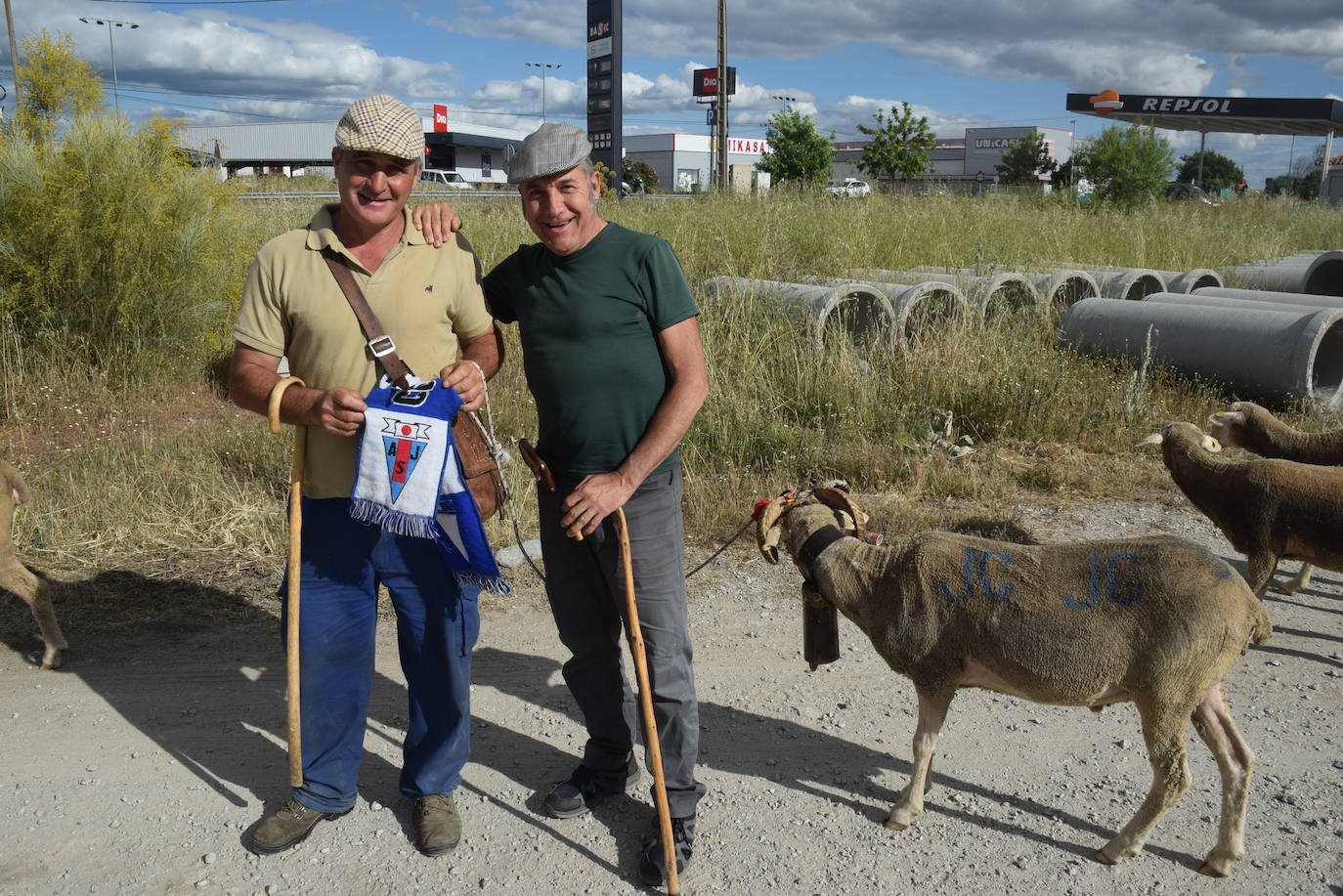 La trashumancia hace su parada en la ciudad trujillana