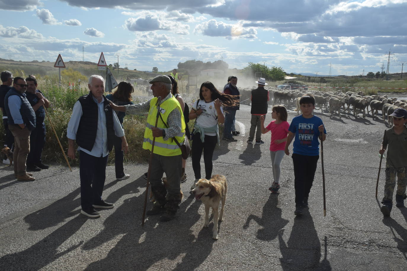 La trashumancia hace su parada en la ciudad trujillana