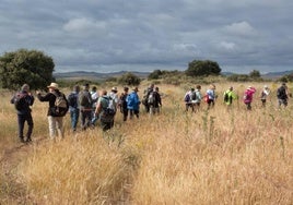 Participantes de la actividad.