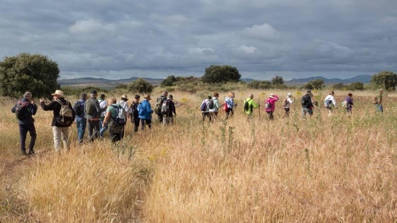 El Centro de Mayores lleva a cabo el camino a Guadalupe en cuatro etapas