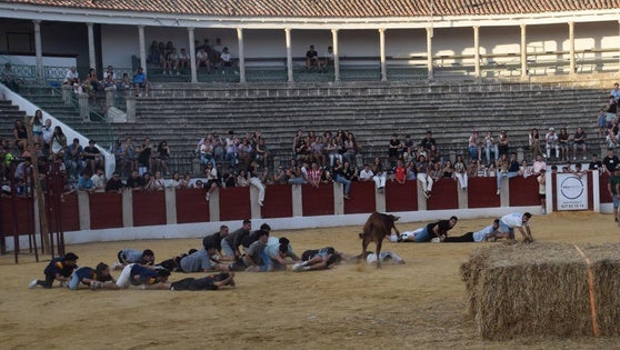 Los juegos, protagonistas en la capea del lunes de la fiesta local