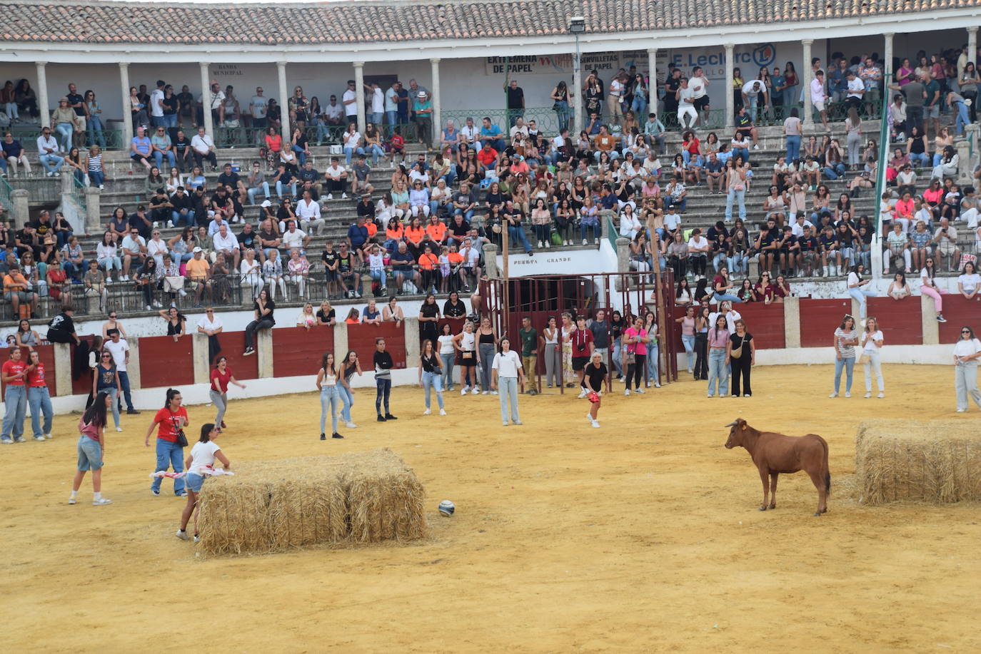 Gran ambiente en el día de la capea de las mujeres