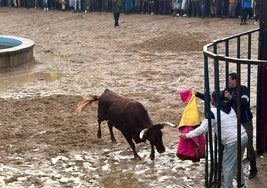 Un momento de la capea de ayer.