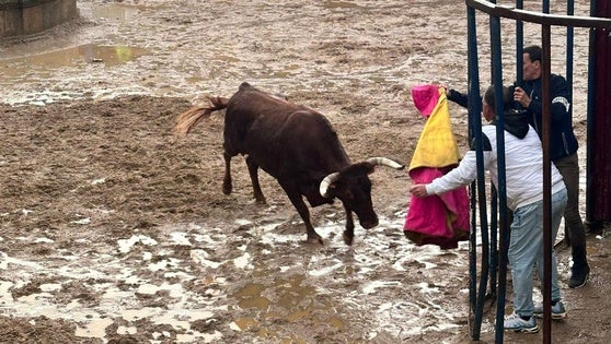 Huertas de Ánimas despide sus fiestas con los festejos taurinos