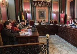 En primer término, Mariscal en la última sesión plenaria.