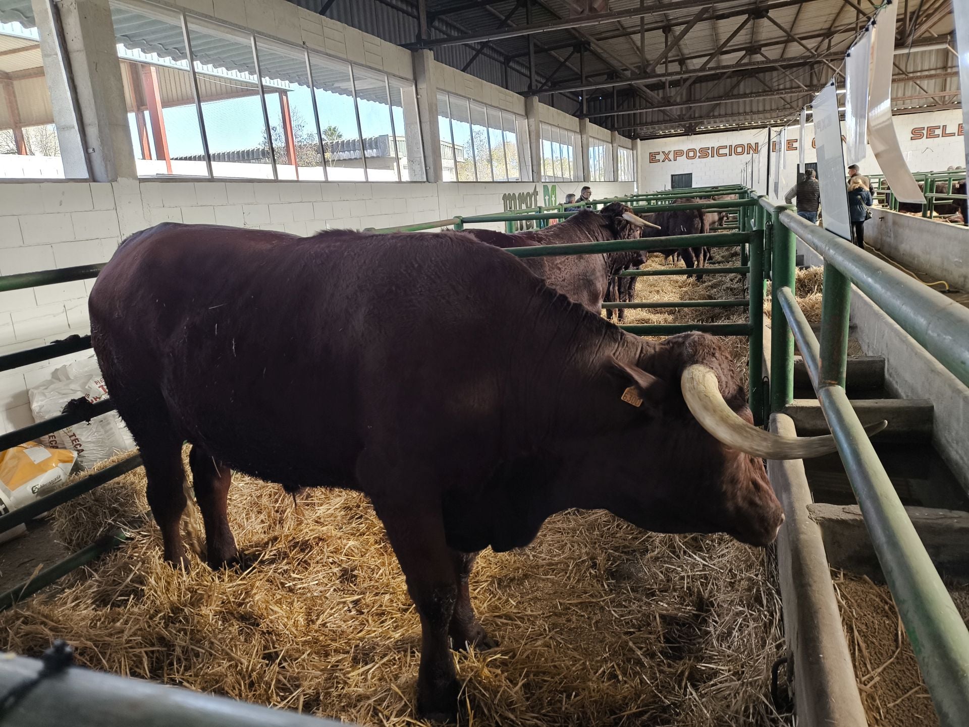 La Feria Agroganadera se celebró a pesar de la lengua azul