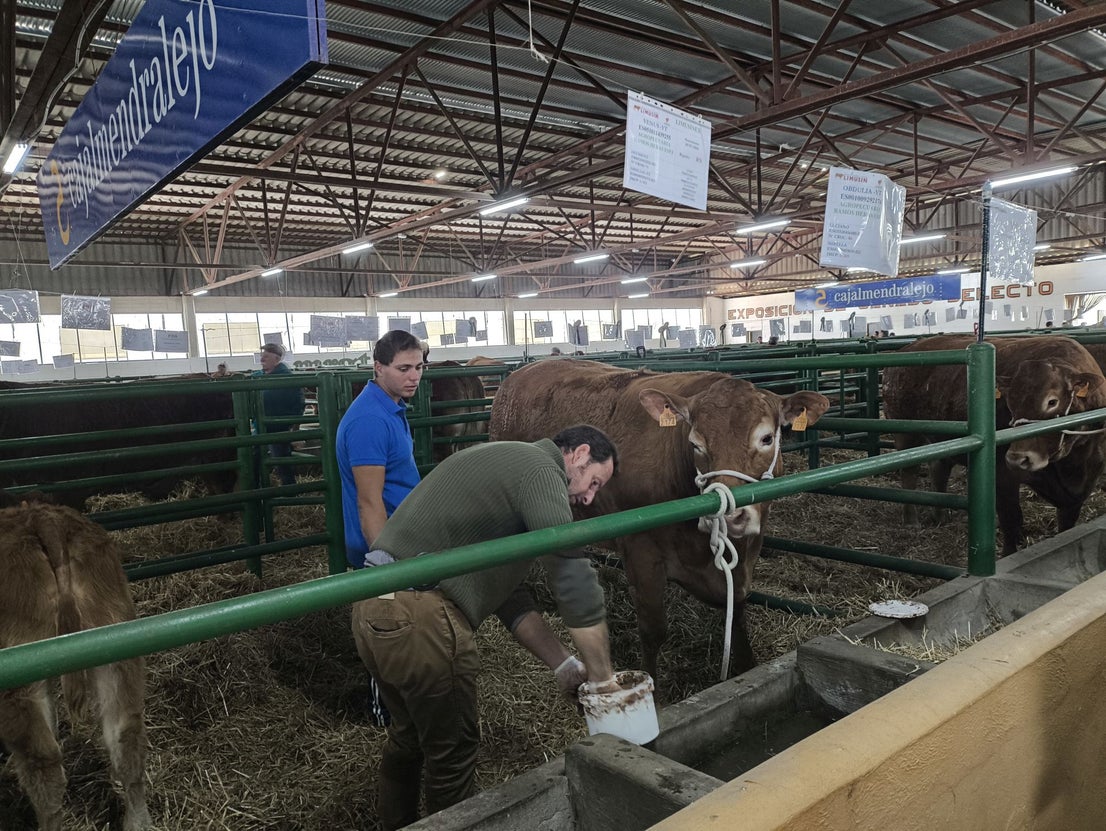 La Feria Agroganadera se celebró a pesar de la lengua azul