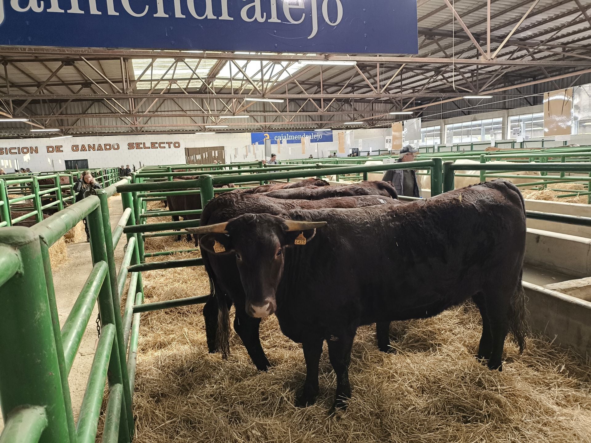 La Feria Agroganadera se celebró a pesar de la lengua azul