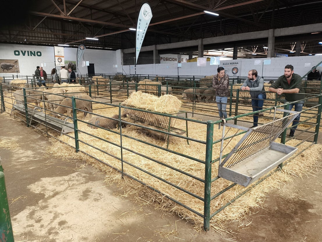 La Feria Agroganadera se celebró a pesar de la lengua azul