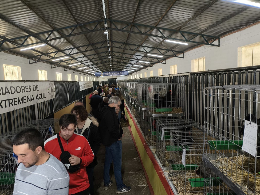 La Feria Agroganadera se celebró a pesar de la lengua azul