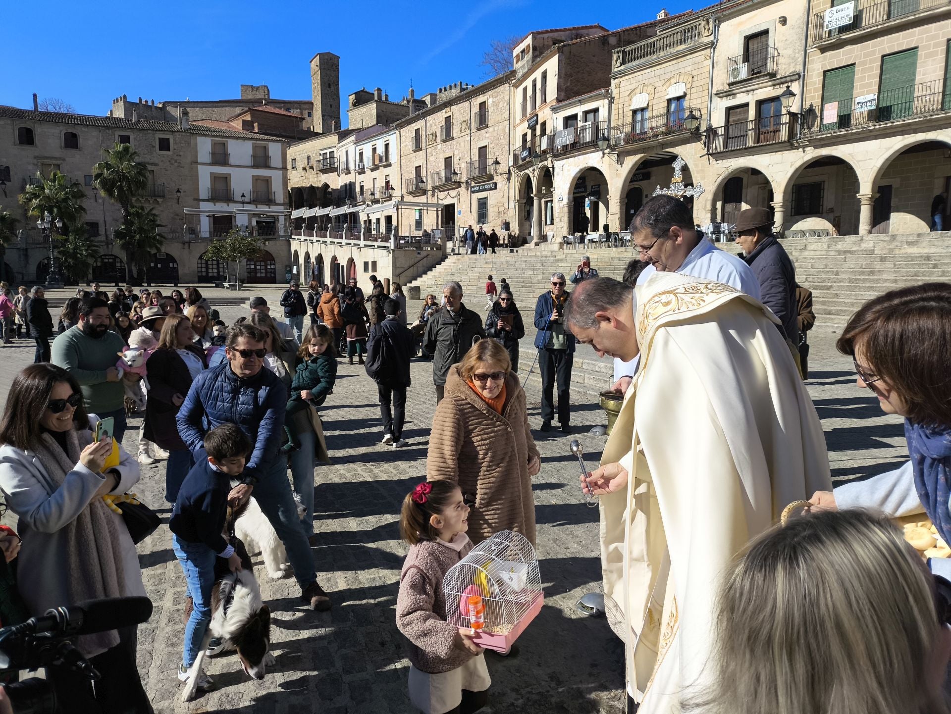 Las mascotas bendecidas por San Antón