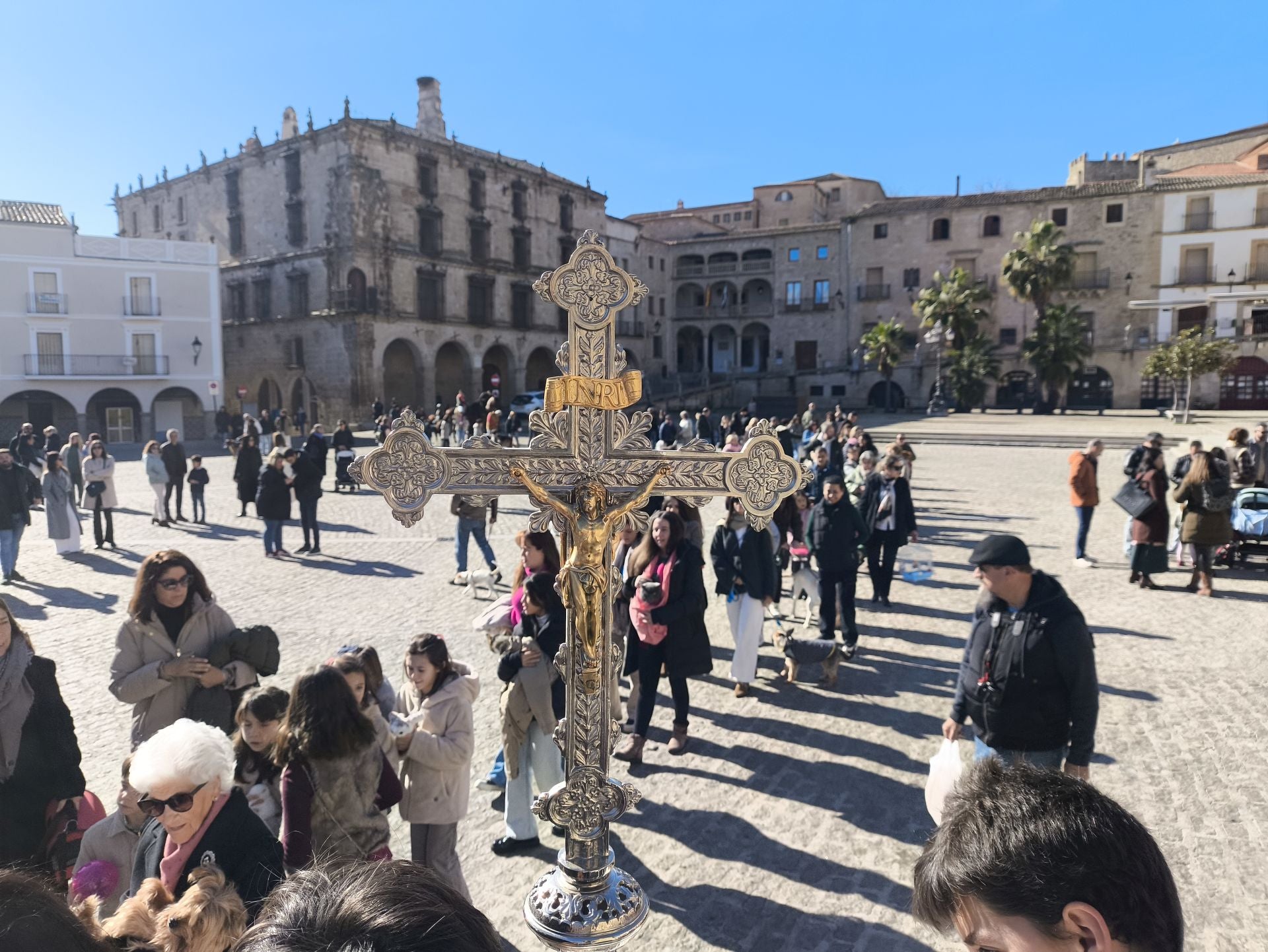 Las mascotas bendecidas por San Antón