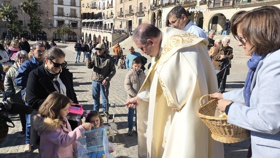 San Antón reúne a decenas de mascotas en la plaza Mayor