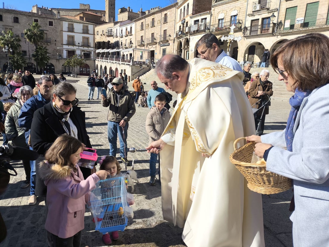 Las mascotas bendecidas por San Antón