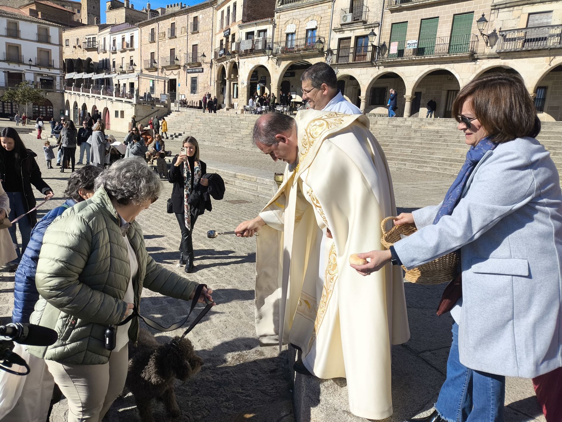 Las mascotas bendecidas por San Antón