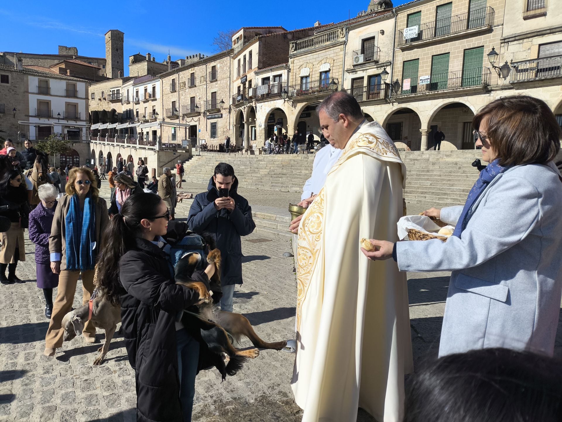 Las mascotas bendecidas por San Antón