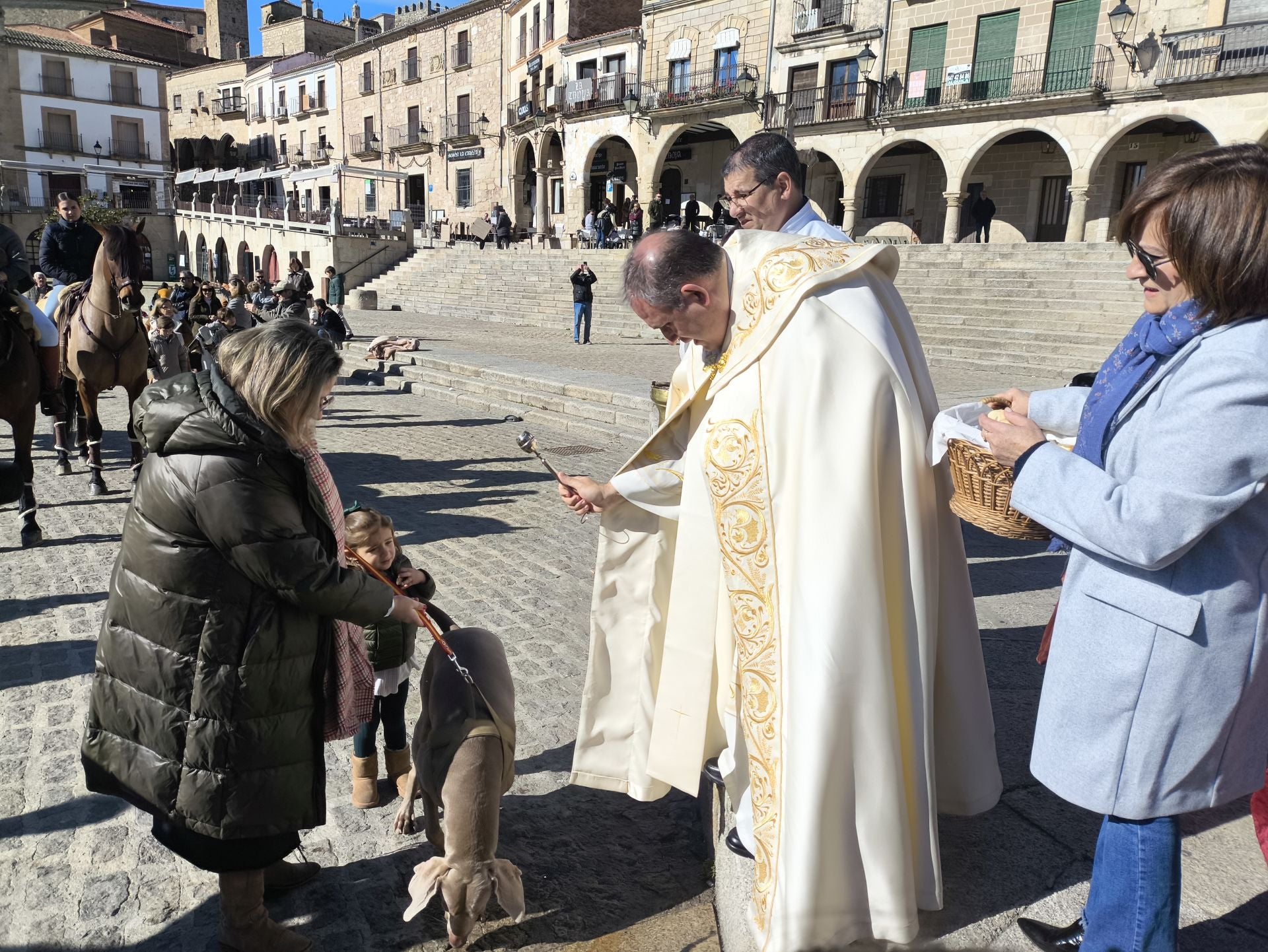 Las mascotas bendecidas por San Antón