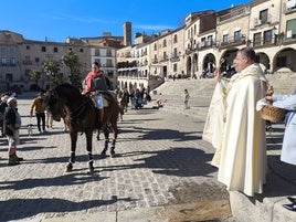 Las mascotas bendecidas por San Antón