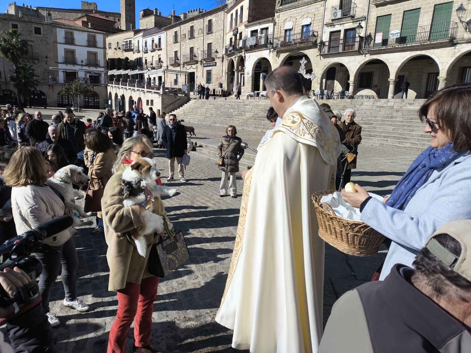 Las mascotas bendecidas por San Antón