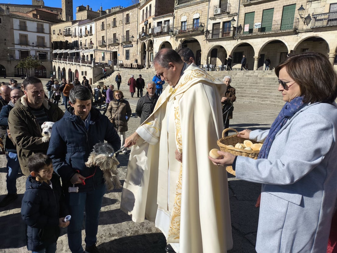Las mascotas bendecidas por San Antón