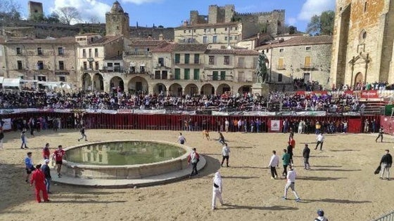 Los carnavales contarán con cuatro capeas y un encierro con mansos