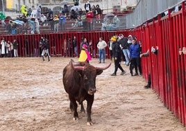 Un momento de la capea de este domingo.
