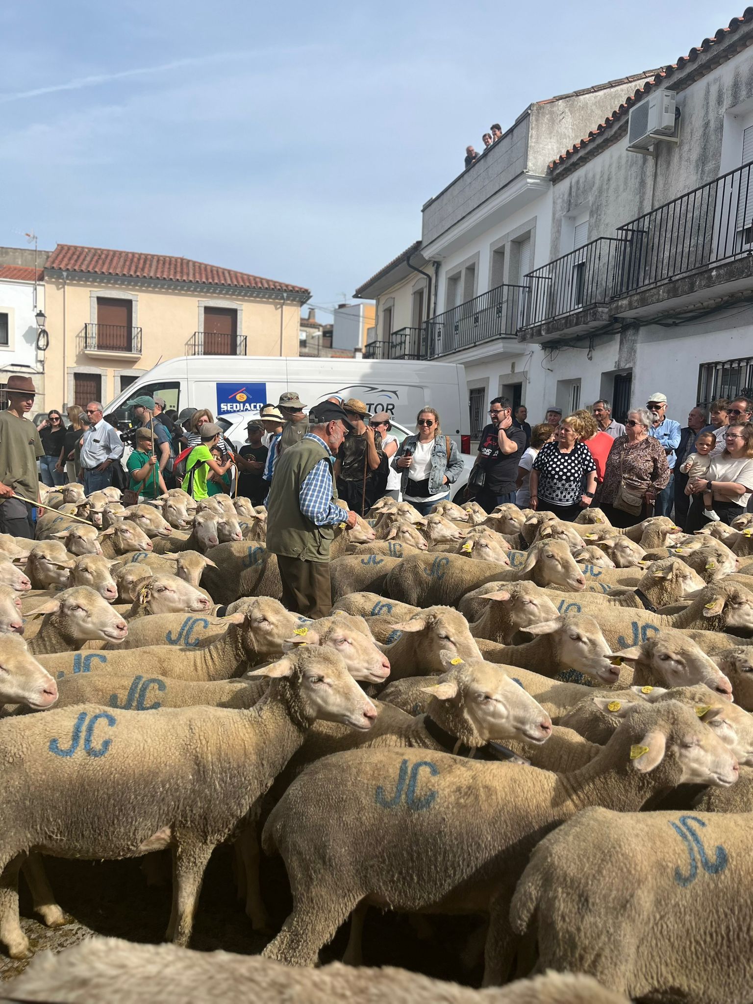 Calurosa despededida a José Manuel Sánchez, con sus 1.700 ovejas, camino de León