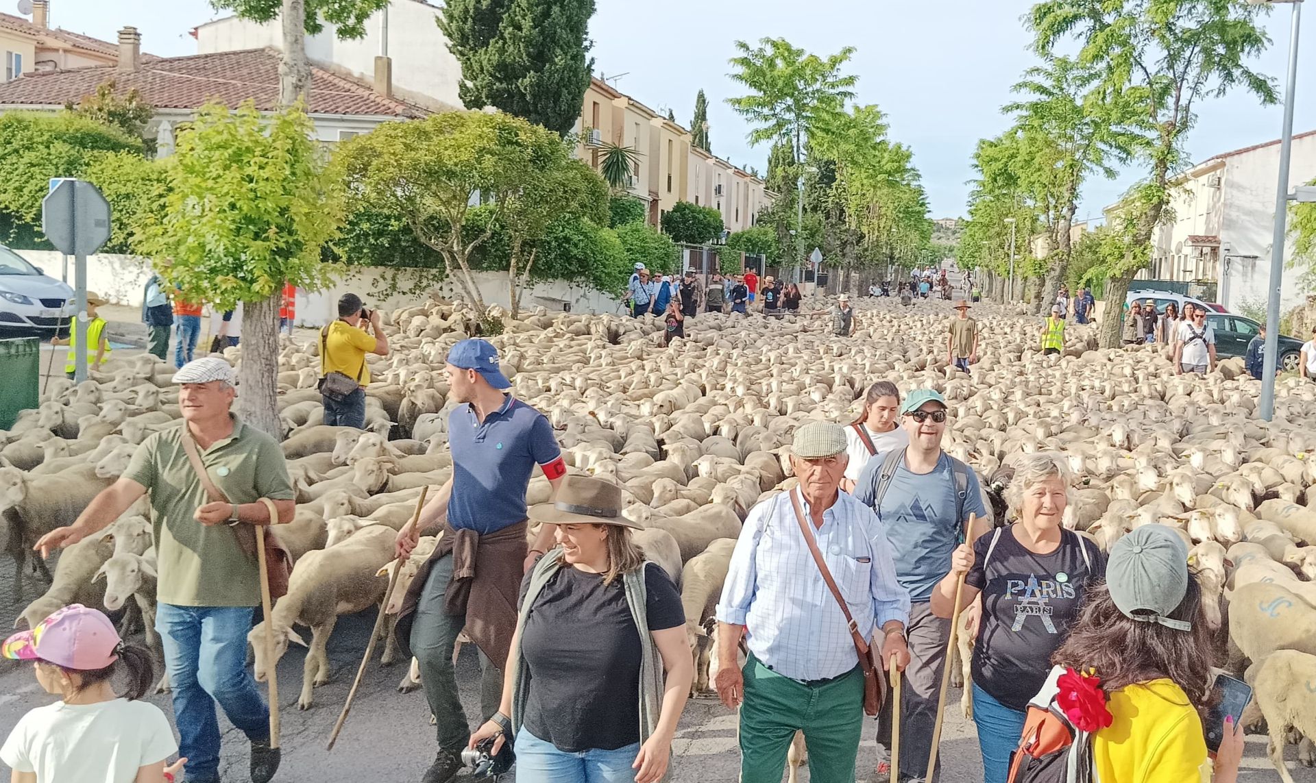 Calurosa despededida a José Manuel Sánchez, con sus 1.700 ovejas, camino de León